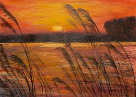 windiger Sonnenuntergang