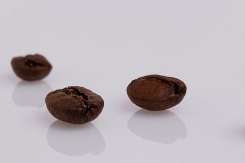 Coffee bean