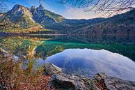 Alpsee Hohenschwangau von Einhorn Fotografie Miniaturansicht