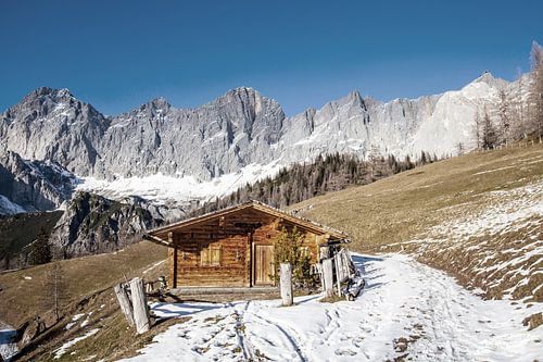 Cabane rustique dans la Neustattalm