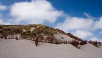 De duinen en een Hollandse lucht van Menno Schaefer thumbnail