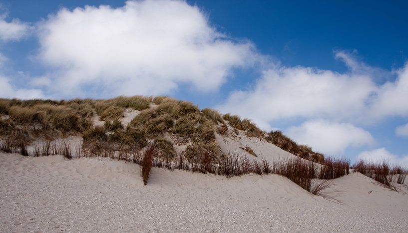 De duinen en een Hollandse lucht van Menno Schaefer