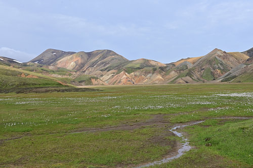 Iceland – Landmannalaugar – a play of colours
