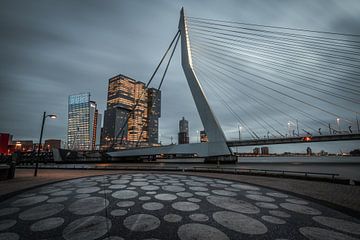 Die schöne Skyline mit der Erasmusbrücke in Rotterdam zur blauen Stunde. von Claudio Duarte