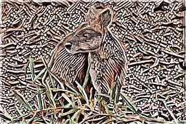 rouge vif sur Angelika Koop