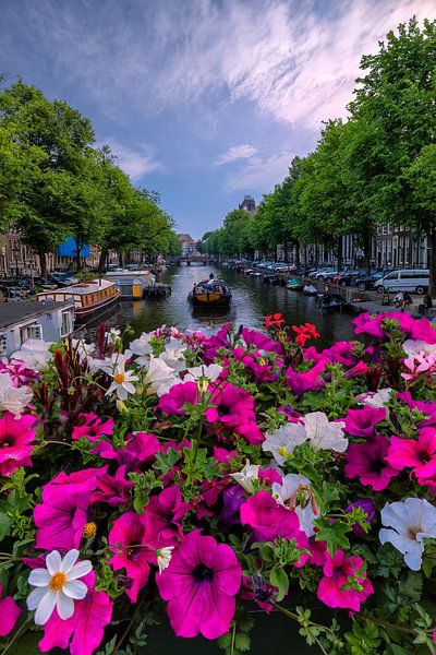 Springtime in Amsterdam par Costas Ganasos