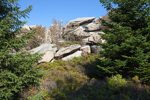 Wandern an den Hohneklippen im Harz