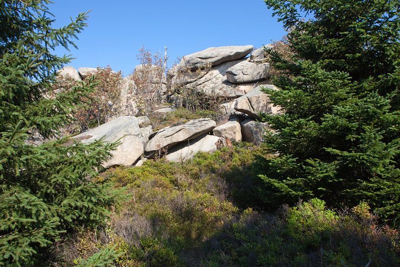Hiking at the Hohne Cliffs in the Harz Mountains by t.ART