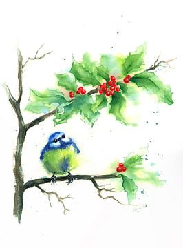 Mésange bleue assise dans un buisson de houx en attendant Noël sur Karen Kaspar