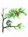 Blaumeise sitzt im Ilexbusch und wartet auf Weihnachten von Karen Kaspar Miniaturansicht