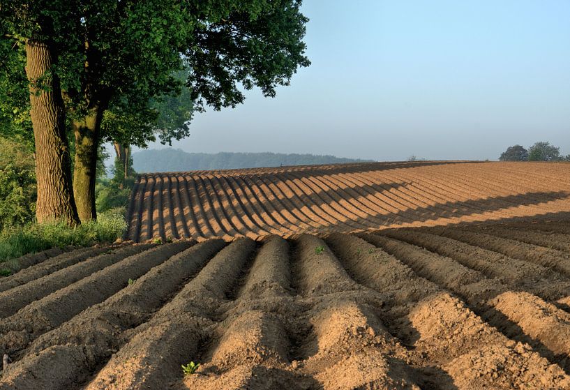 Vlaamse Ardennen by Edzo Boven