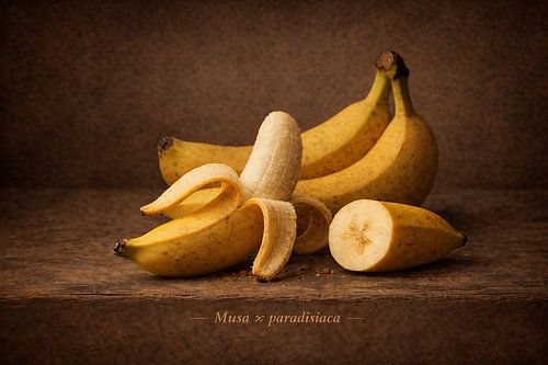 Banaan, Musa × paradisiaca