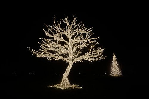 Lichtinstallatie in een park met Kerstmis