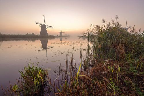 Zonsopgang bij Kinderdijk