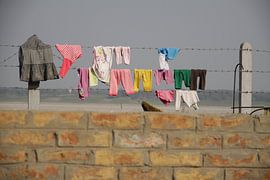 Wäsche auf der Linie von Cora Unk