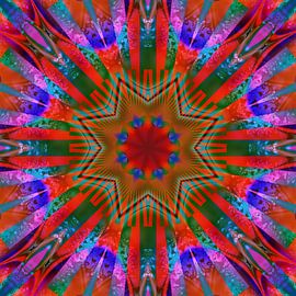 P99222 Harlekin von Claudia Gründler