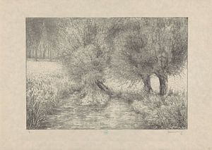 Simon Moulijn, Pollard-Weiden am Grabenrand, 1928
