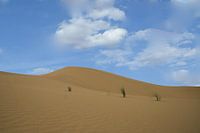 Marokko Sahara 