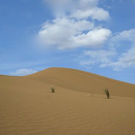 Marokko Sahara  von Gerrit  De Vries