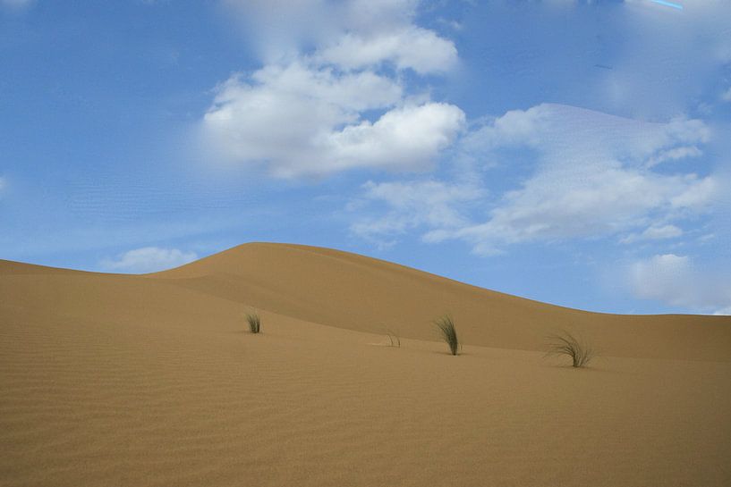 Marokko Sahara  van Gerrit  De Vries