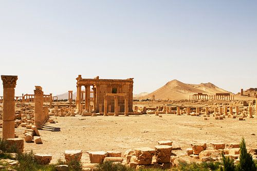 Palmyra – Wo Säulen Geschichten erzählen