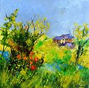 Sommige schelpen van pol ledent thumbnail