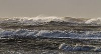 Evening light of setting sun on stormy surf