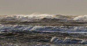Avondlicht van ondergaande zon op stormachtige branding