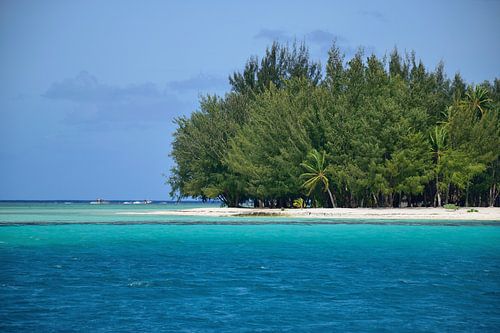 Het strand op Motu Tapu