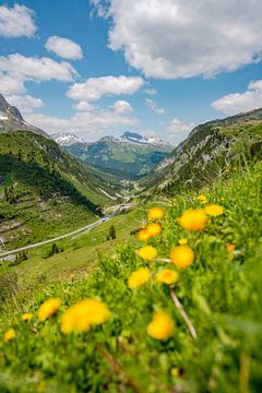 Blumige Aussicht auf die Lechtaler Alpen und Lech von Leo Schindzielorz