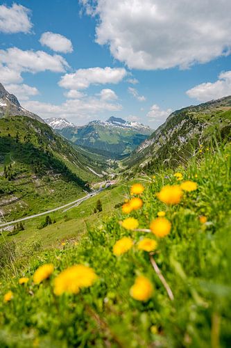 Bloemrijk uitzicht op de Lechtaler Alpen en Lech