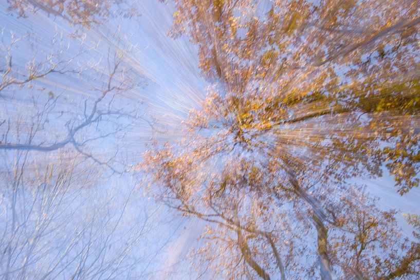 Strahlen im Herbst von Barbara Brolsma