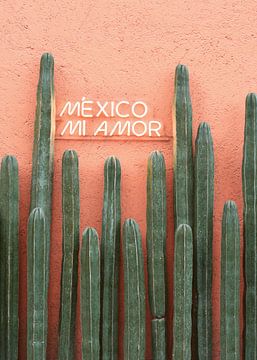 Mexiko Mi Amor von Gal Design