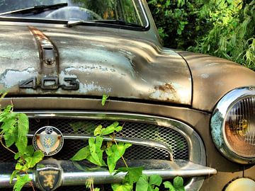 Peugeot 403 (claimed by nature) by Tineke Visscher