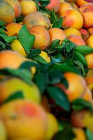 Stapel sinaasappel fruit op de markt oranje en groen