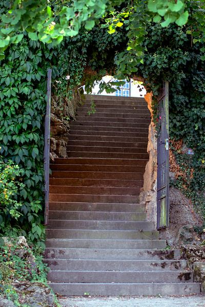 DE - Baden-Württemberg : Open gate to the Rosegarden van Photoart-Naegele
