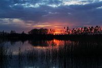 Sunset at a waterfront.