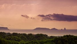 Pals 11 sur Deshamer