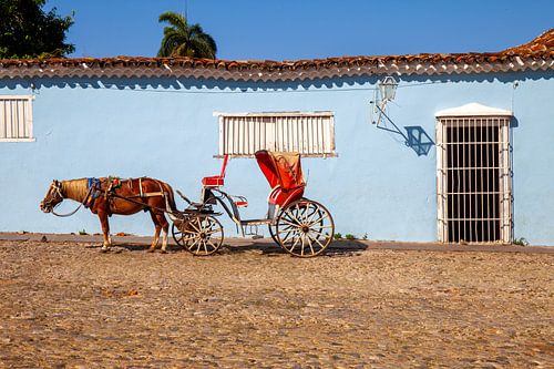 Pferdekutsche in Trinidad