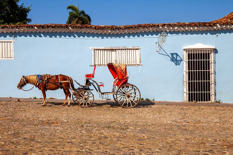 Pferdekutsche in Trinidad von Inge van Veen