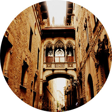 Barcelona / Spanje / Gothic Street van Sabrina Varao Carreiro