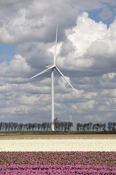 een tulpenveld en een moderne windmolen voor schone energie van W J Kok