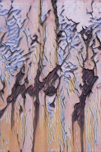 La beauté de la pourriture 3