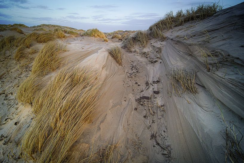 Light and shadow by Dirk van Egmond