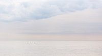 Seascape van Claudia van Zanten thumbnail