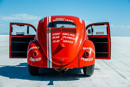 Bright red Keep Smiling Beetle on white salt flats