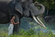 De zoon van de mahout geeft veel om zijn vriend de olifant van Anges van der Logt thumbnail