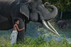Der Sohn des Mahouts kümmert sich sehr um seinen Freund, den Elefanten