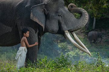 De zoon van de mahout geeft veel om zijn vriend de olifant