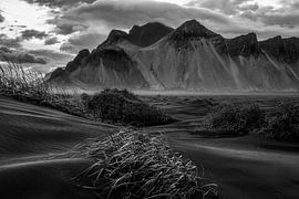 On the beach at Stokksnes